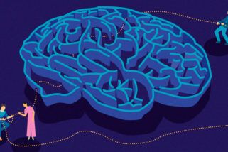 Piirroskuva labyrinttimaisista aivoista, joiden läpi kolme henkilöä vievät helminauhan näköistä ketjua.